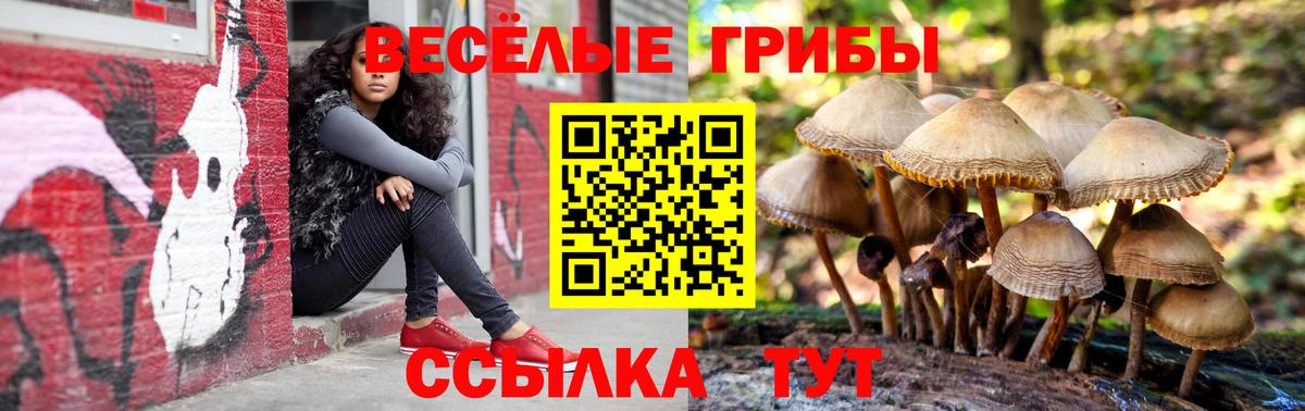 Галлюциногенные грибы Cubensis Оренбург